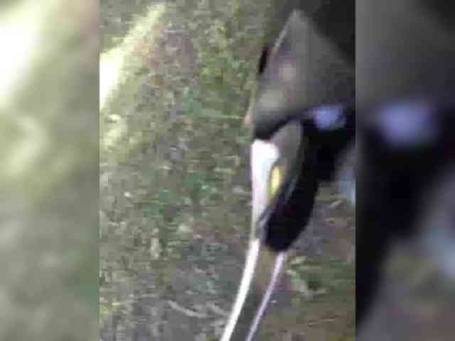 KlientVsegdaPrav webcam