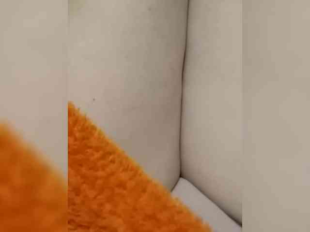 KlientVsegdaPrav webcam