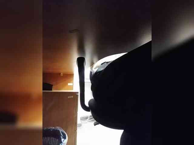 KlientVsegdaPrav webcam