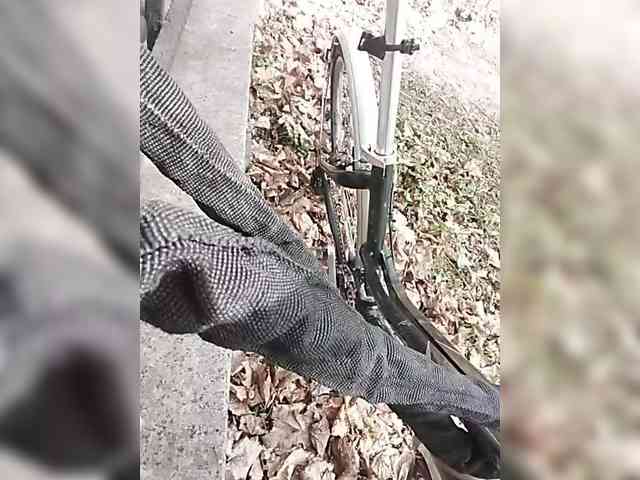 KlientVsegdaPrav webcam