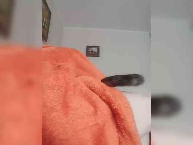 KlientVsegdaPrav webcam