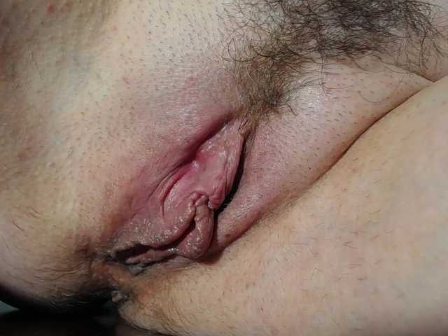 Xollan