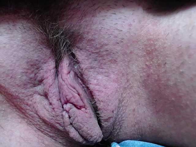 Xollan