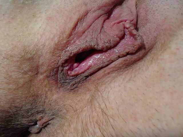 Xollan