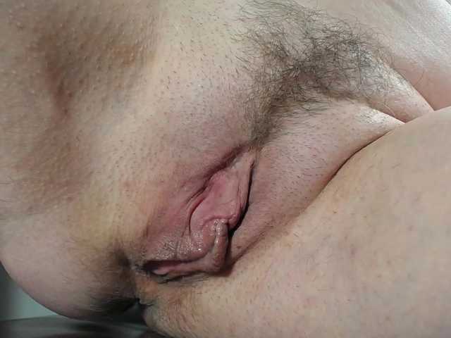 Xollan