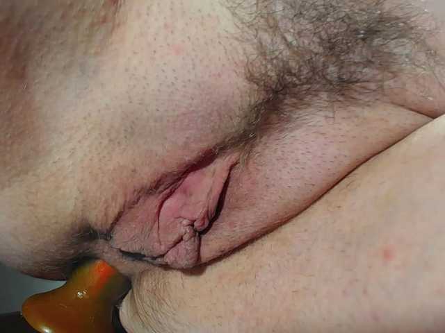Xollan