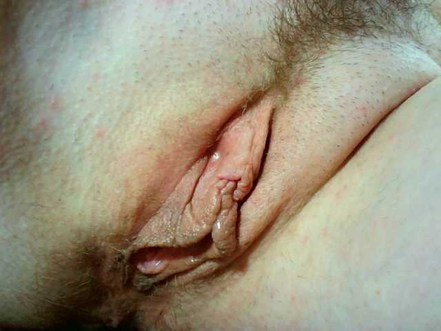 Xollan