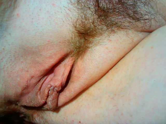 Xollan