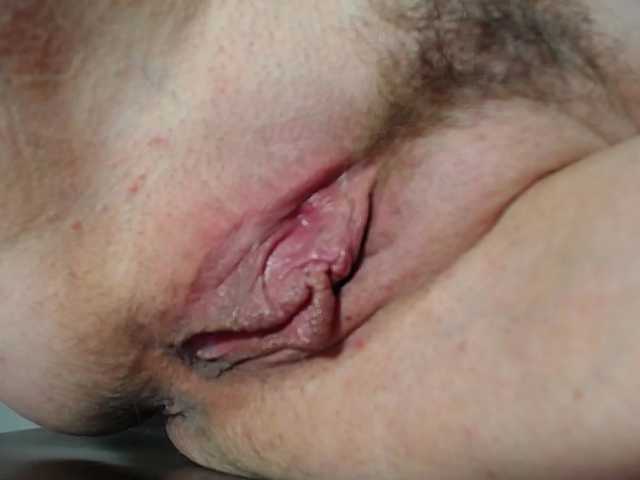 Xollan