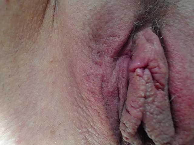 Xollan
