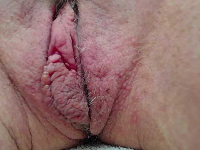 Xollan