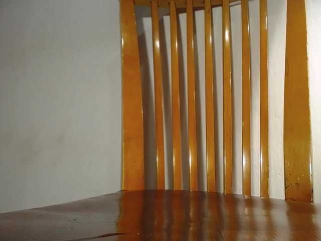 Xollan webcam