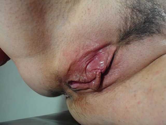 Xollan
