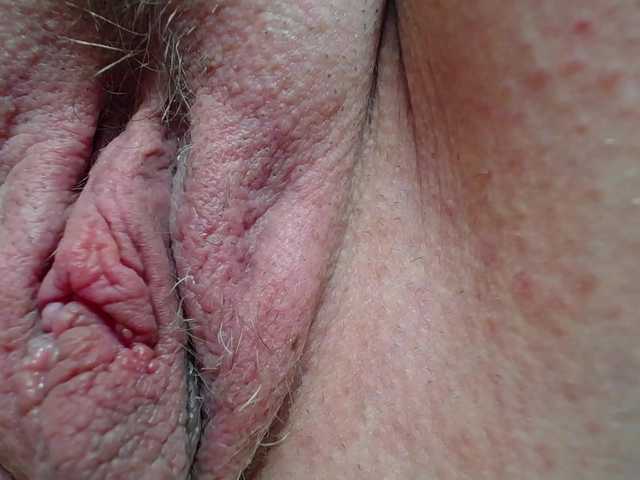 Xollan
