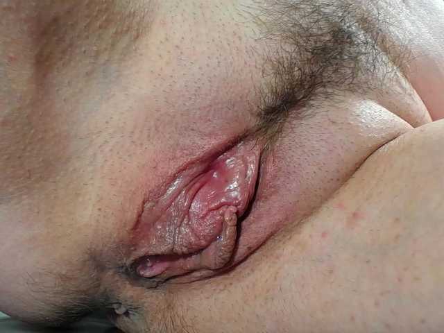 Xollan