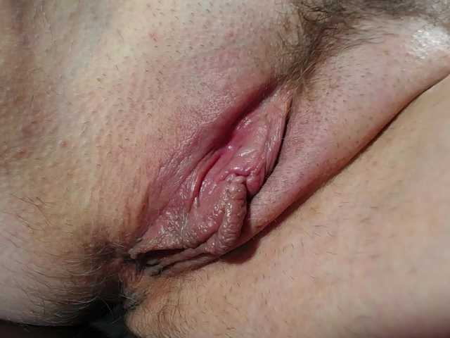 Xollan