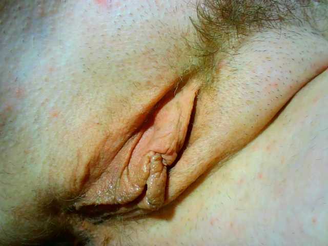 Xollan