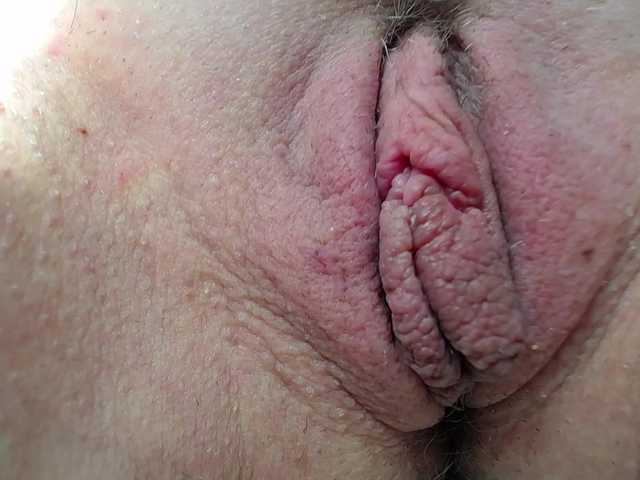 Xollan