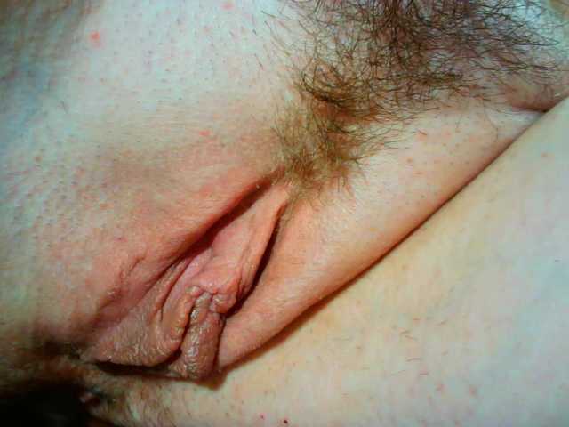Xollan