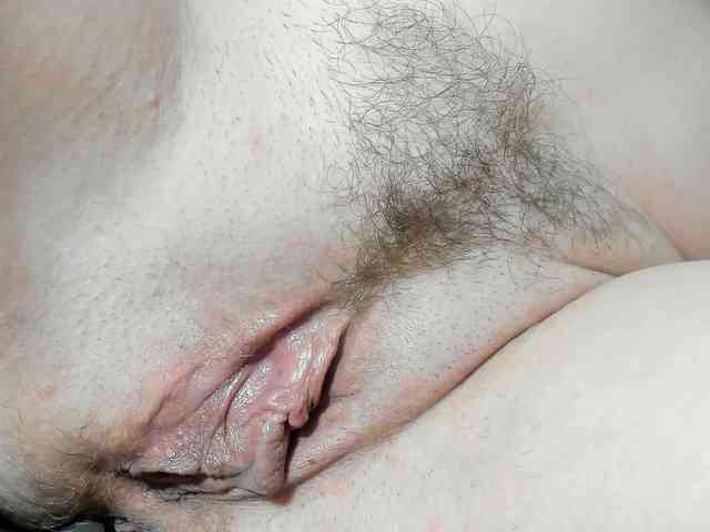 Model: Xollan