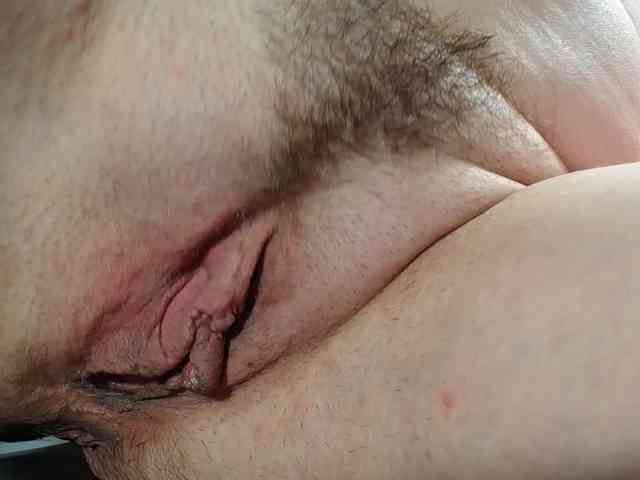 Xollan webcam