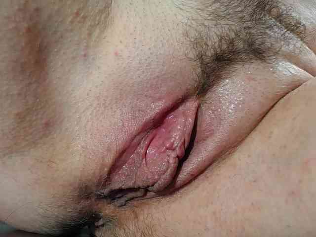 Xollan webcam
