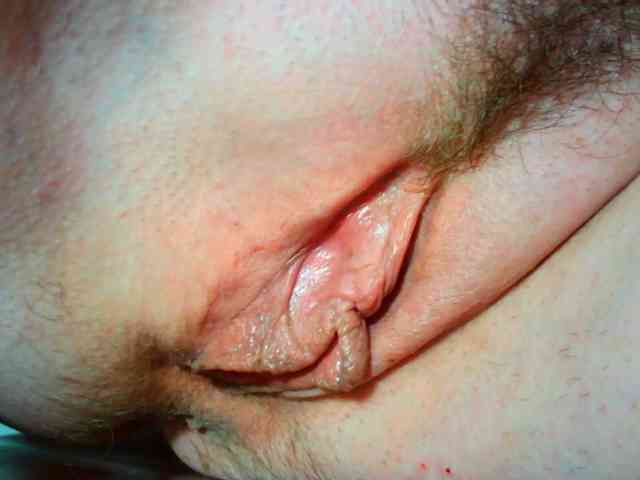 Xollan