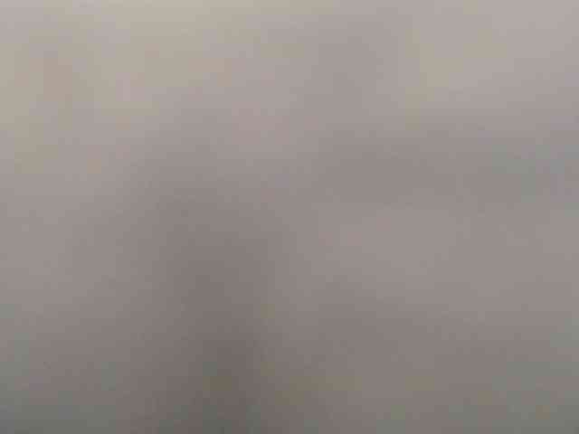 Xollan webcam