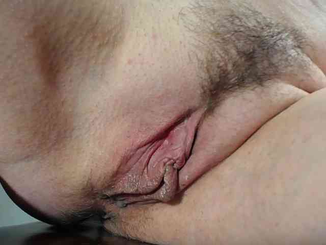 Xollan webcam