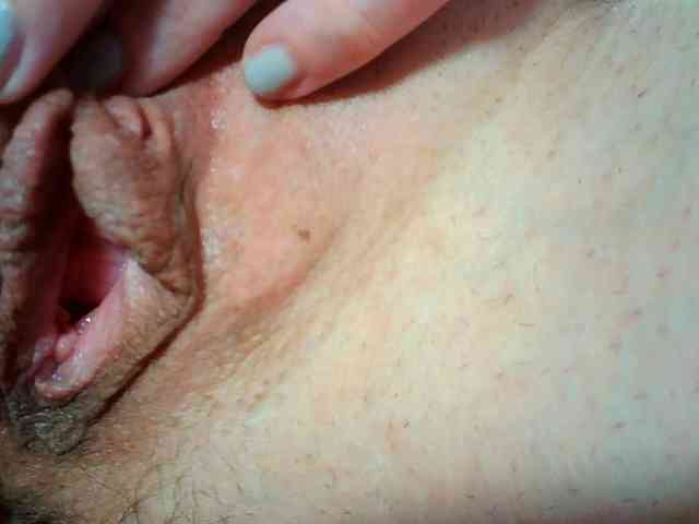 Xollan webcam