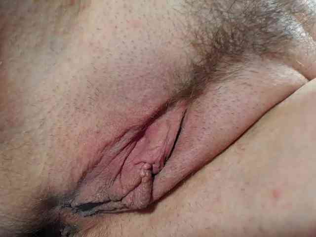 Xollan webcam
