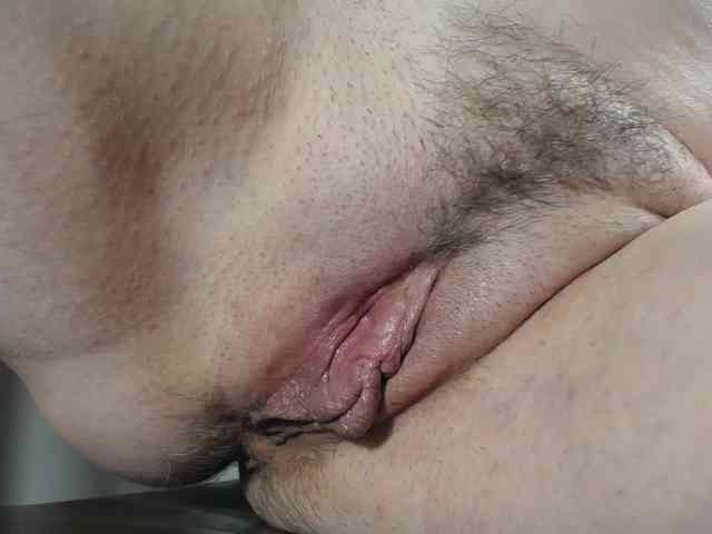 Xollan webcam