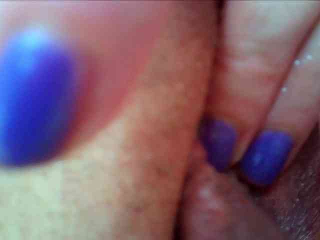 Xollan webcam