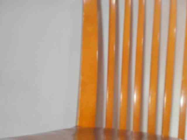 Xollan webcam