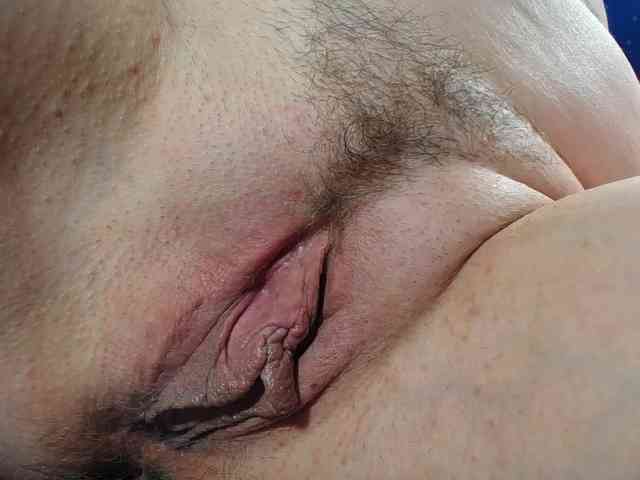 Xollan webcam