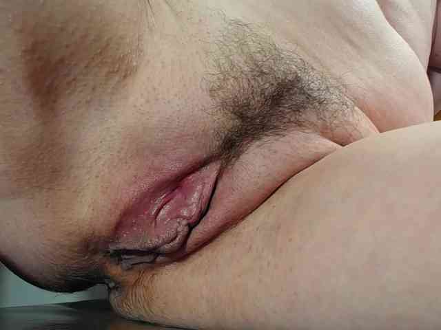 Xollan webcam