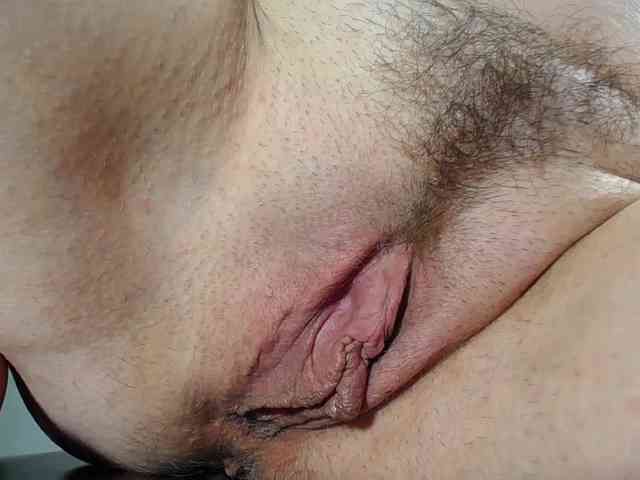 Xollan webcam
