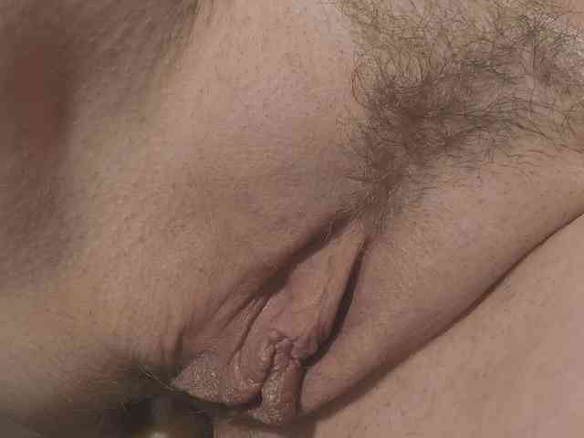 Model: Xollan