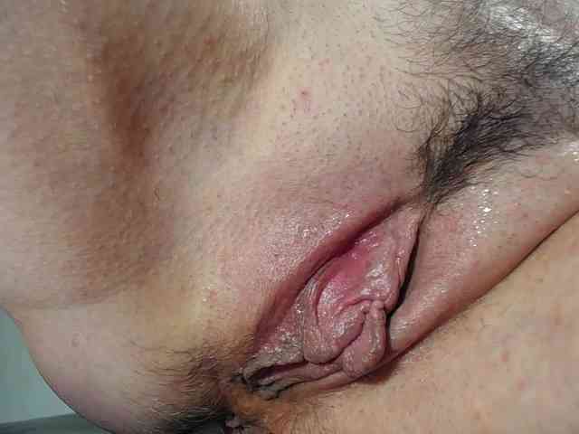 Xollan webcam