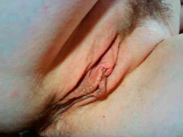 Xollan