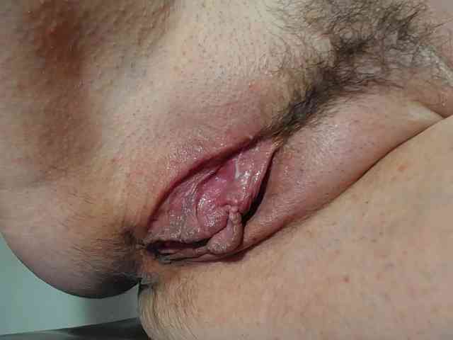 Xollan