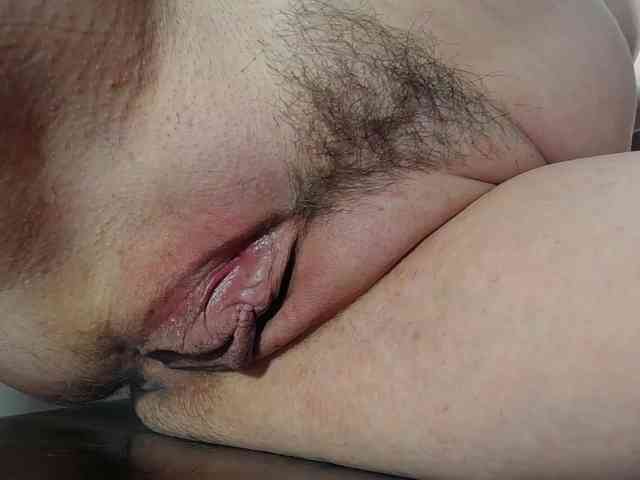 Xollan webcam