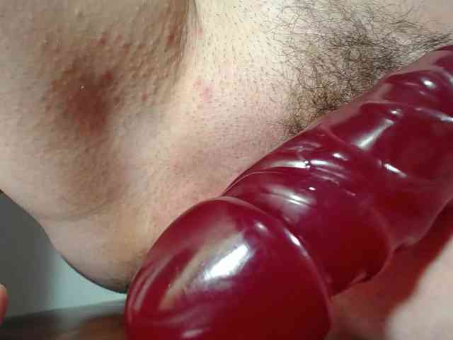 Xollan webcam