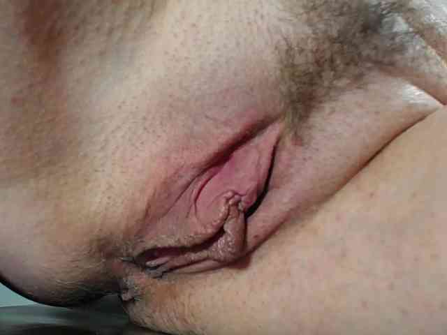 Xollan