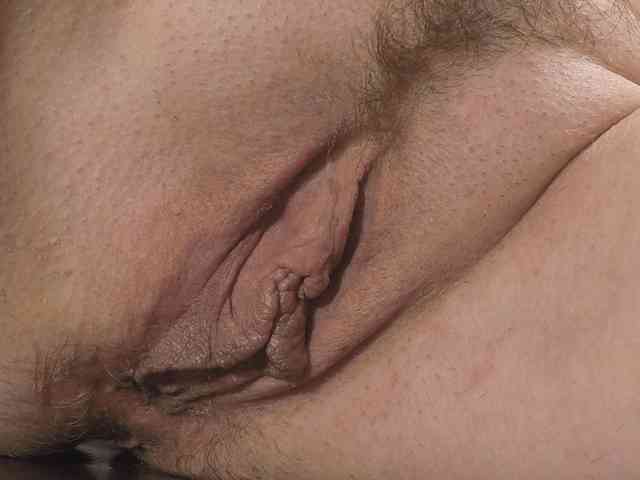 Xollan webcam