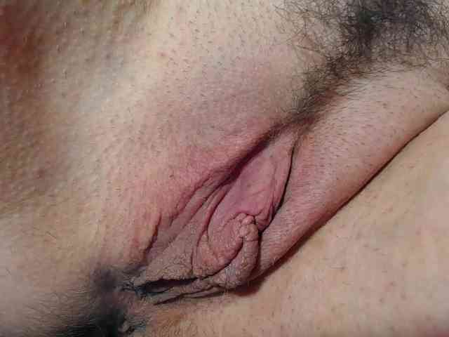 Xollan