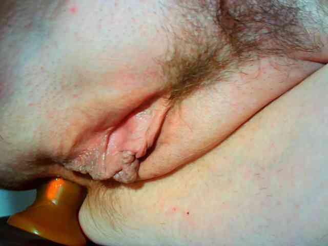 Xollan