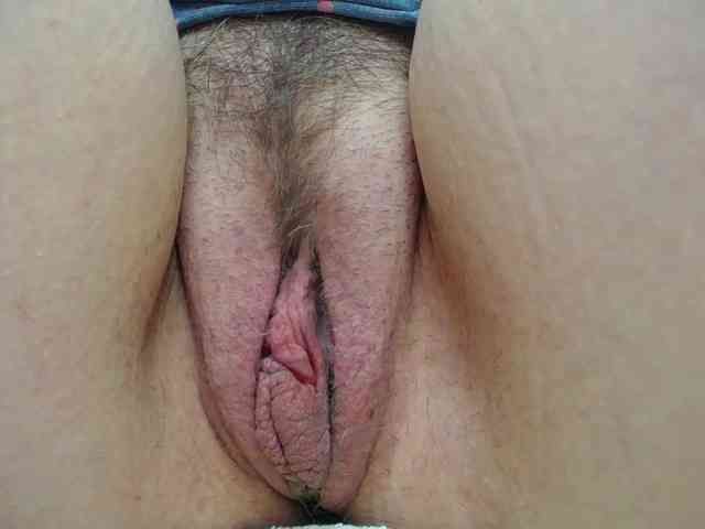 Xollan webcam
