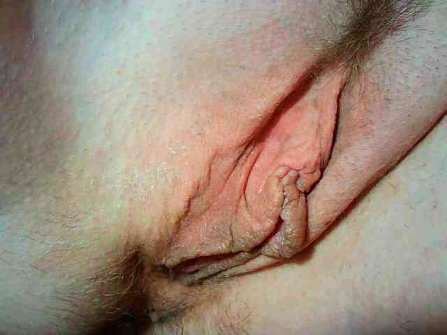 Xollan webcam