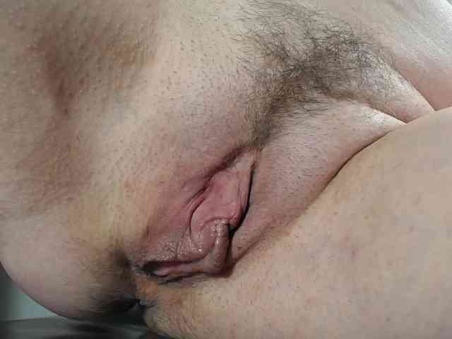Xollan webcam